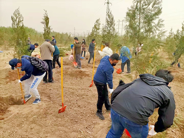 【植树活动】平谷植树-石林峡郊游主题活动-植树节活动_团建_爱拓文化